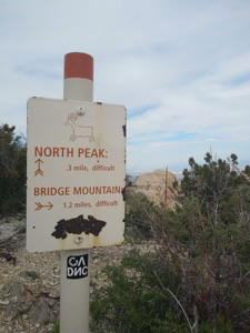 1.2 Miles to Bridge Mountain